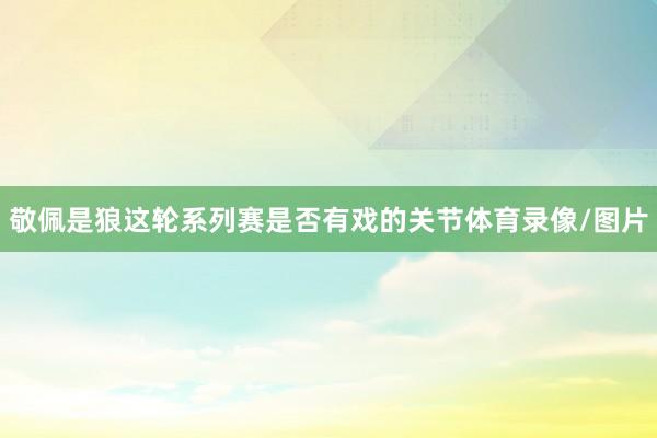 敬佩是狼这轮系列赛是否有戏的关节体育录像/图片