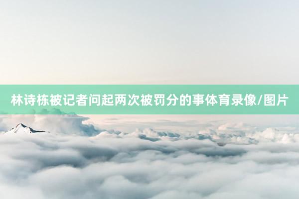 林诗栋被记者问起两次被罚分的事体育录像/图片