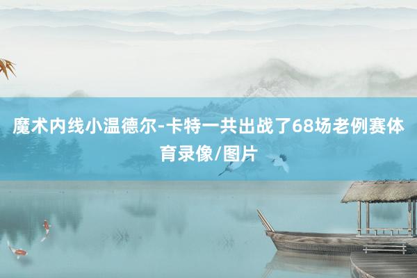 魔术内线小温德尔-卡特一共出战了68场老例赛体育录像/图片