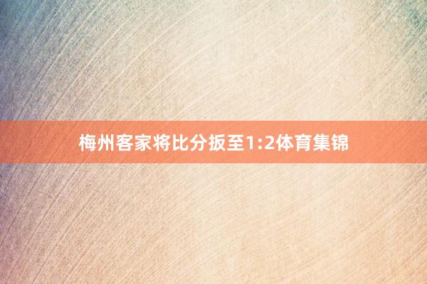 梅州客家将比分扳至1:2体育集锦