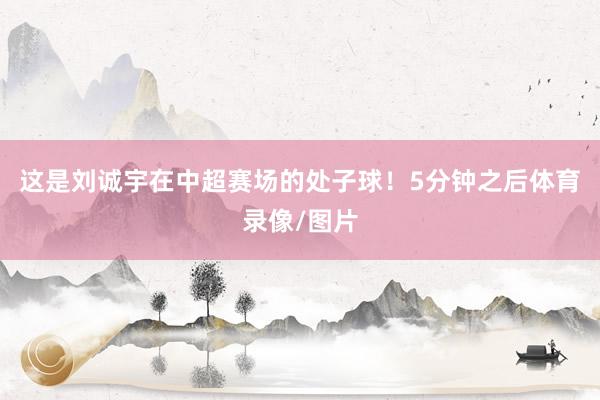 这是刘诚宇在中超赛场的处子球！5分钟之后体育录像/图片