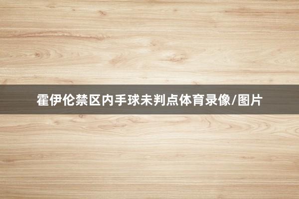 霍伊伦禁区内手球未判点体育录像/图片