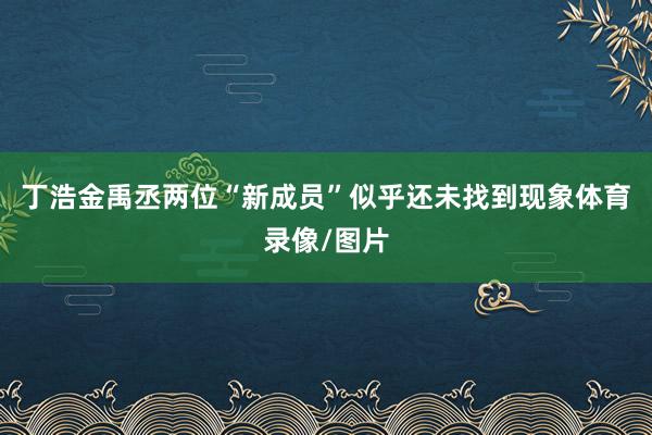 丁浩金禹丞两位“新成员”似乎还未找到现象体育录像/图片