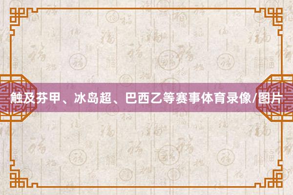 触及芬甲、冰岛超、巴西乙等赛事体育录像/图片
