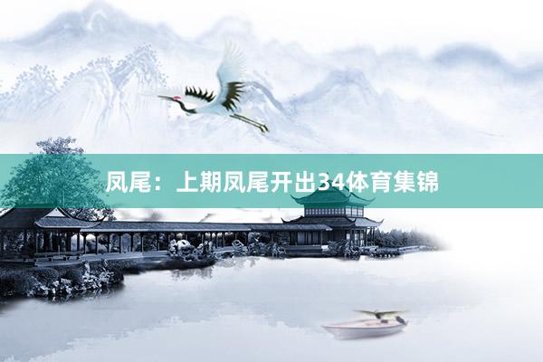 凤尾：上期凤尾开出34体育集锦