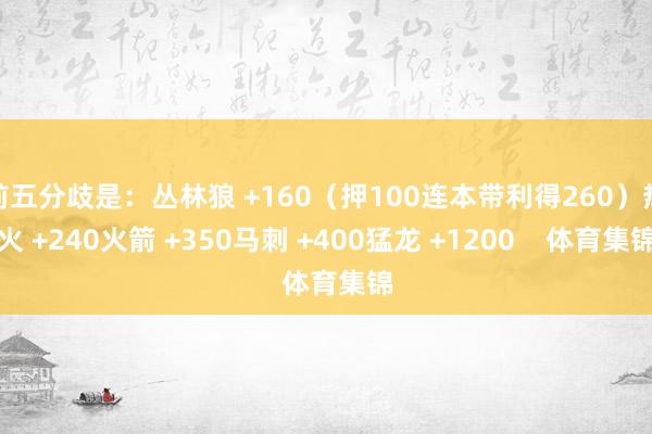 前五分歧是：丛林狼 +160（押100连本带利得260）热火 +240火箭 +350马刺 +400猛龙 +1200    体育集锦