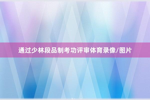 通过少林段品制考功评审体育录像/图片