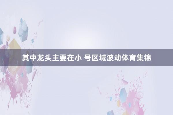 其中龙头主要在小 号区域波动体育集锦