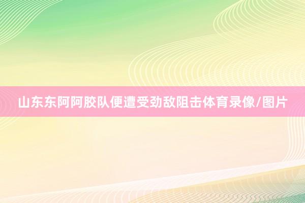 山东东阿阿胶队便遭受劲敌阻击体育录像/图片