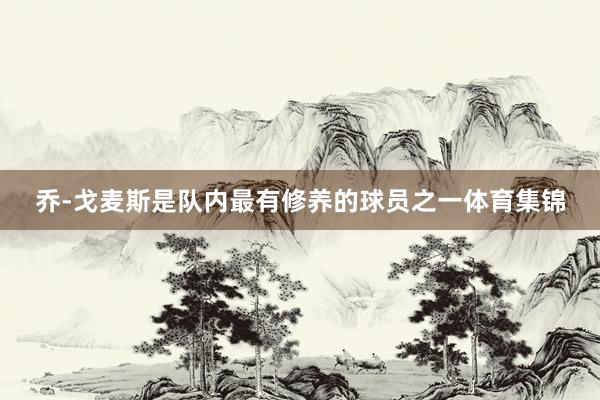 乔-戈麦斯是队内最有修养的球员之一体育集锦