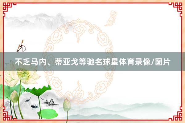 不乏马内、蒂亚戈等驰名球星体育录像/图片