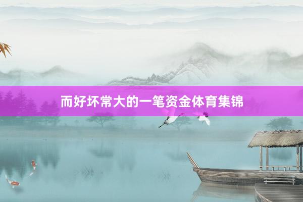 而好坏常大的一笔资金体育集锦