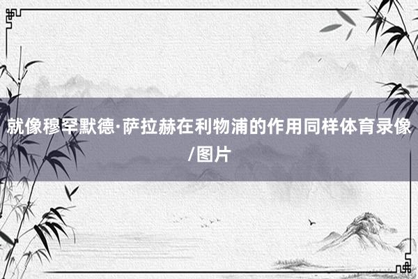 就像穆罕默德·萨拉赫在利物浦的作用同样体育录像/图片