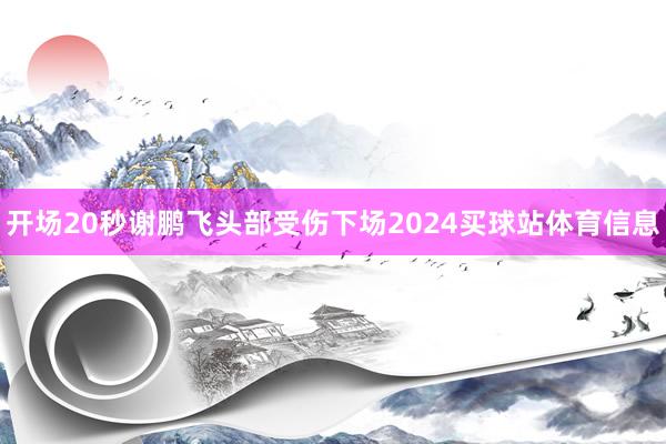 开场20秒谢鹏飞头部受伤下场2024买球站体育信息