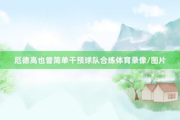 厄德高也曾简单干预球队合练体育录像/图片