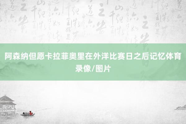 阿森纳但愿卡拉菲奥里在外洋比赛日之后记忆体育录像/图片