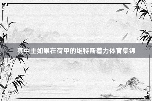 其中主如果在荷甲的维特斯着力体育集锦