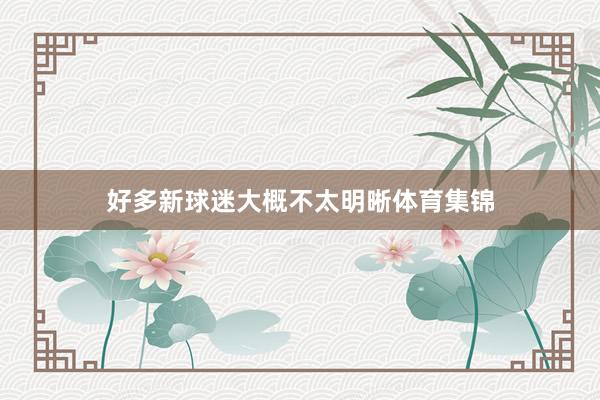 好多新球迷大概不太明晰体育集锦