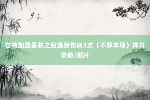 芒特加盟曼联之后遇到伤病3次（不算本场）体育录像/图片