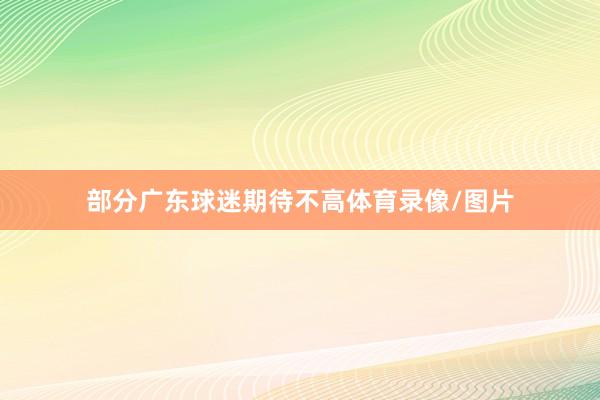 部分广东球迷期待不高体育录像/图片