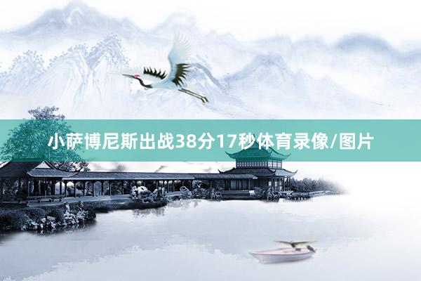小萨博尼斯出战38分17秒体育录像/图片