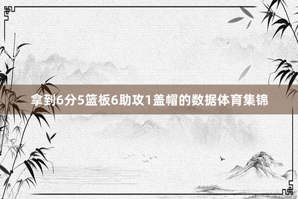 拿到6分5篮板6助攻1盖帽的数据体育集锦