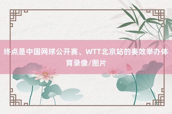 终点是中国网球公开赛、WTT北京站的奏效举办体育录像/图片