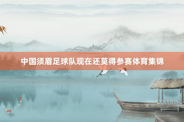 中国须眉足球队现在还莫得参赛体育集锦