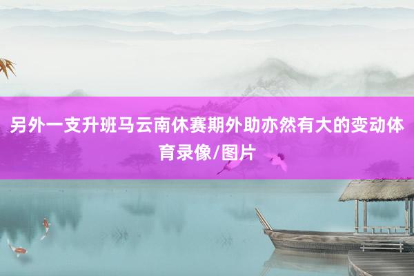 另外一支升班马云南休赛期外助亦然有大的变动体育录像/图片