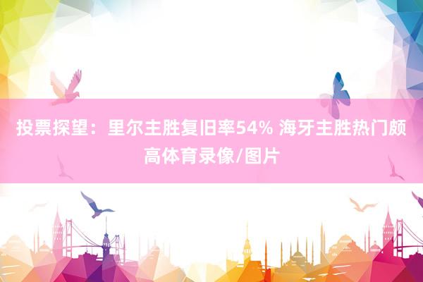 投票探望：里尔主胜复旧率54% 海牙主胜热门颇高体育录像/图片