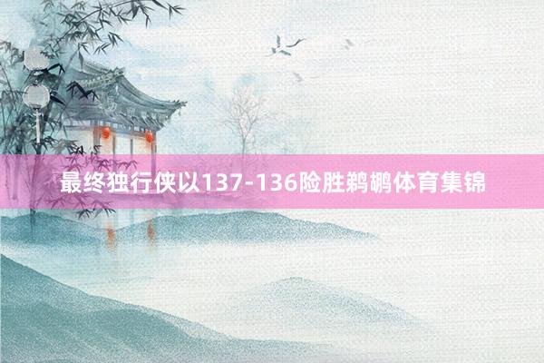 最终独行侠以137-136险胜鹈鹕体育集锦