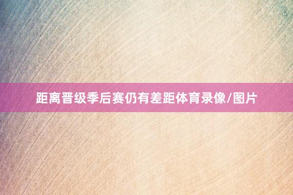 距离晋级季后赛仍有差距体育录像/图片