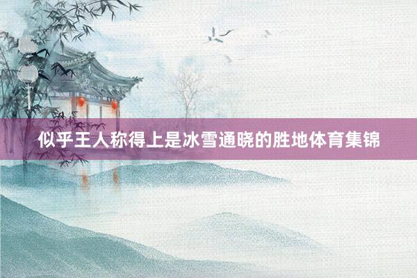 似乎王人称得上是冰雪通晓的胜地体育集锦