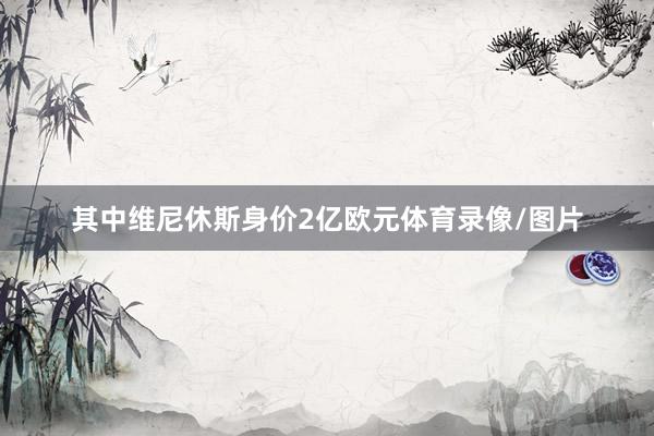 其中维尼休斯身价2亿欧元体育录像/图片