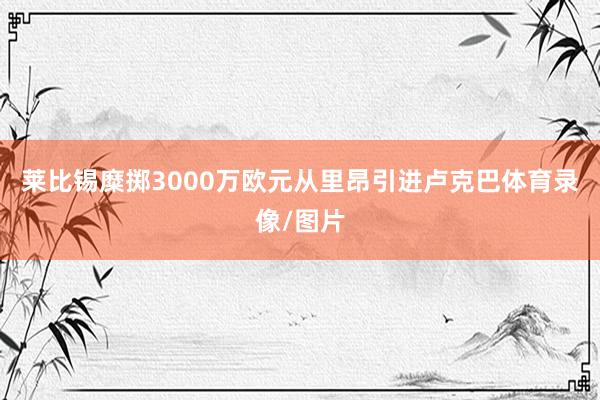莱比锡糜掷3000万欧元从里昂引进卢克巴体育录像/图片