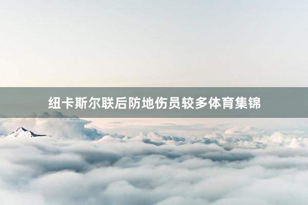 纽卡斯尔联后防地伤员较多体育集锦