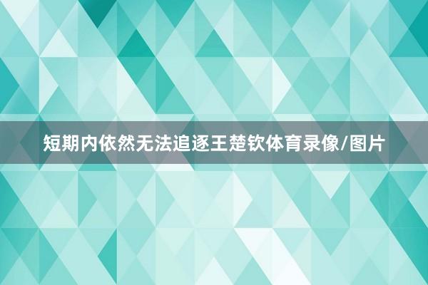 短期内依然无法追逐王楚钦体育录像/图片