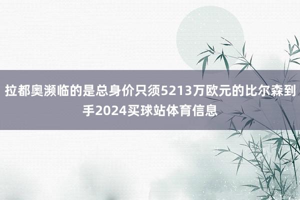 拉都奥濒临的是总身价只须5213万欧元的比尔森到手2024买球站体育信息