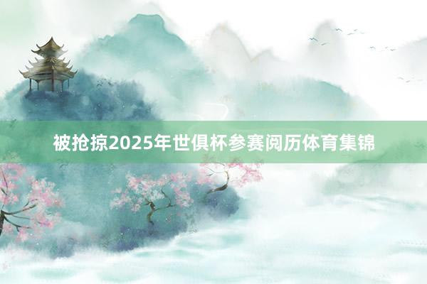被抢掠2025年世俱杯参赛阅历体育集锦