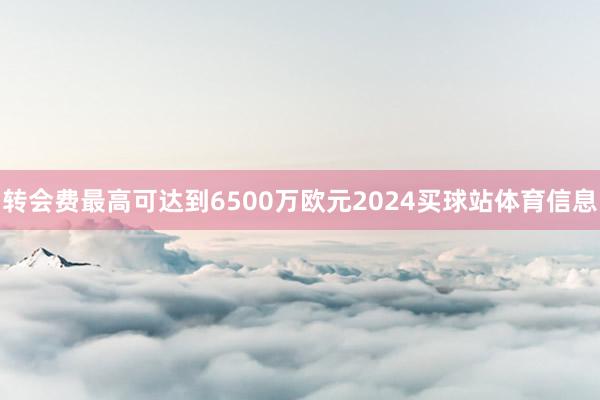 转会费最高可达到6500万欧元2024买球站体育信息