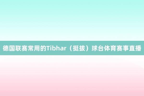 德国联赛常用的Tibhar(挺拔)球台体育赛事直播