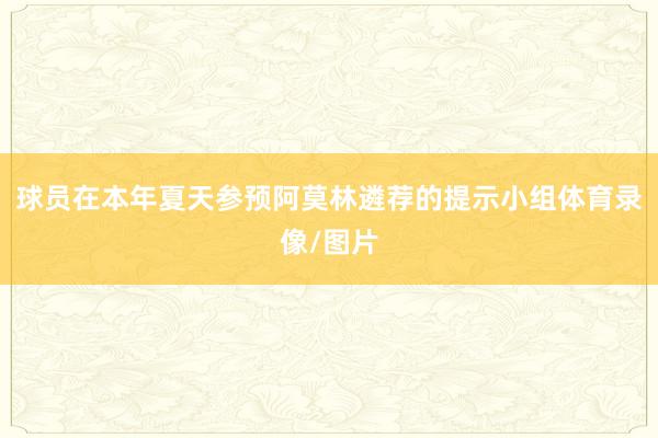 球员在本年夏天参预阿莫林遴荐的提示小组体育录像/图片