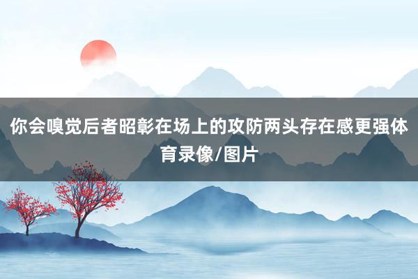 你会嗅觉后者昭彰在场上的攻防两头存在感更强体育录像/图片
