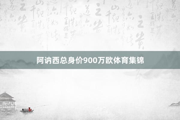 阿讷西总身价900万欧体育集锦
