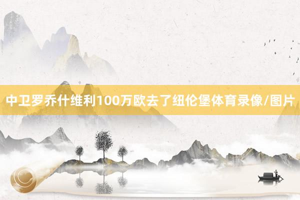 中卫罗乔什维利100万欧去了纽伦堡体育录像/图片