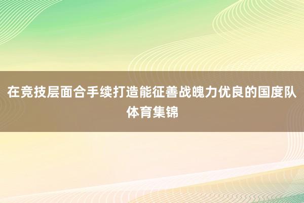 在竞技层面合手续打造能征善战魄力优良的国度队体育集锦